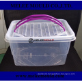 High Quality Clear Portable Storage Container Moulding